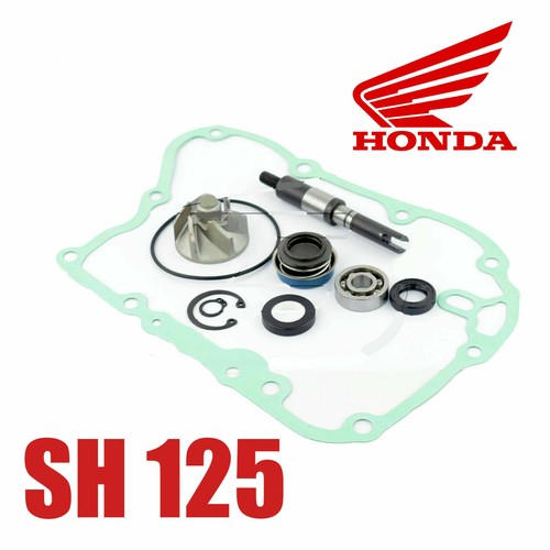 Kit revisione pompa acqua - ,