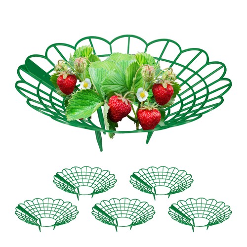 Anelli supporto rete fragole - anelli,