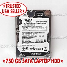 Disco rigido portatile 750 GB