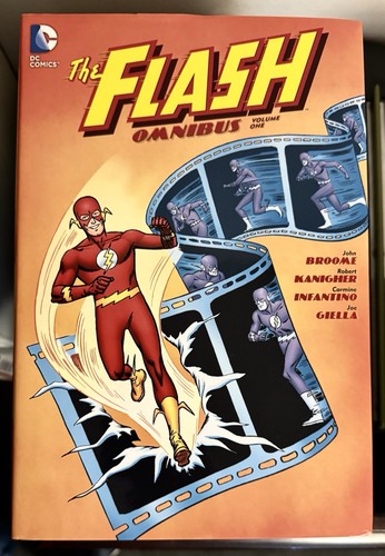 The flash copertina rigida - the,