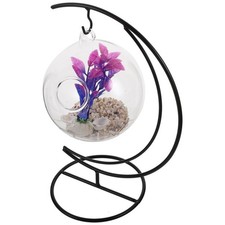  Vasca Per Pesci Rossi