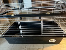 rabbit cage