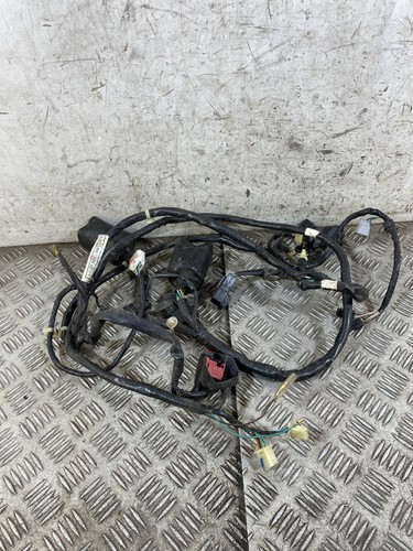 116766 cablaggio impianto - 116766,