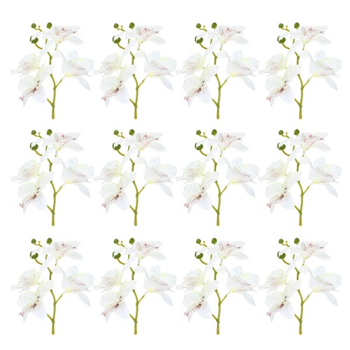Pezzi pollici orchidea - 12, 7