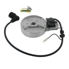 KIT BOBINA E VOLANO Soffiatore KASEI EB800 e Atomizzatore 3WFB-30