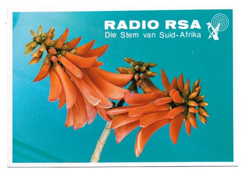 Qsl radio voice south - qsl,