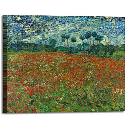 Van gogh campo - van, di