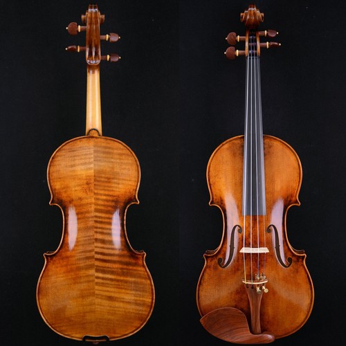 Master violin guarneri - violin,