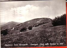 POSTCARD CAMPIGNA DI S. SOFIA