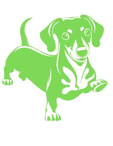 Adesivo bassotto auto cani