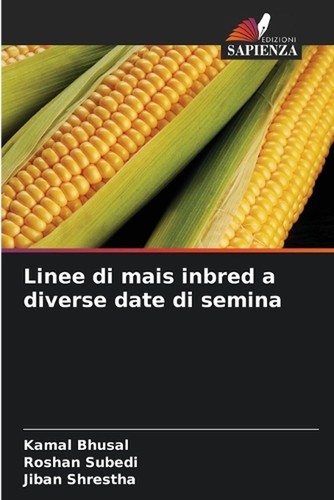 Linee mais inbred diverse - a,