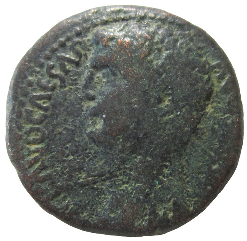 Fenicia berito ae 24 - berito.,