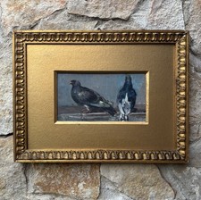 Quadro -Piccioni- Giuseppe Uva