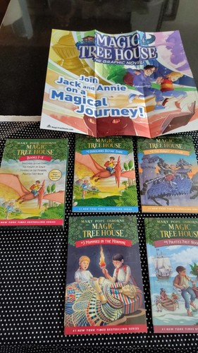 Magic tree house box - house, books