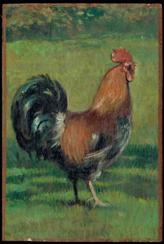 Dipinto olio gallo ruspante - olio,