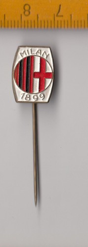 Distintivo spilla bastone