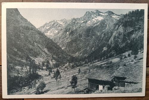 Anni corno rosso in - il,