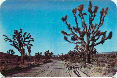 Carte postale etats unis - carte, etats-unis