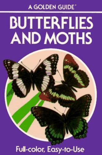 Butterflies and moths - butterflies,
