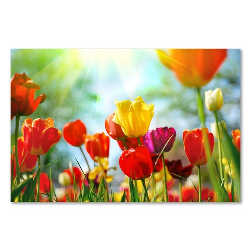 Postereck 0027 poster - , tela