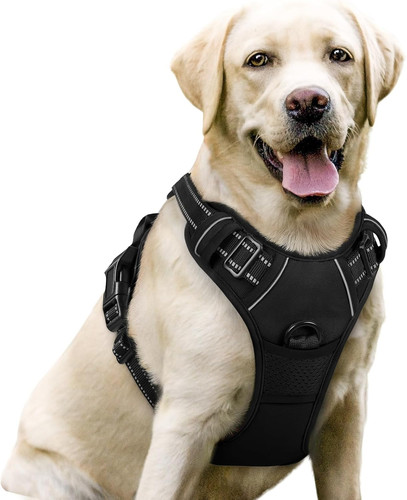 Imbracatura per cani pull - imbracatura,