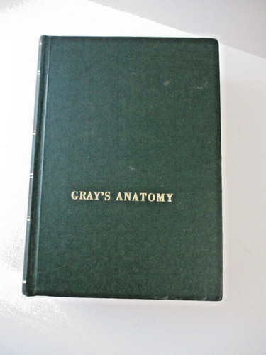Gray anatomy 29th edition - edition,