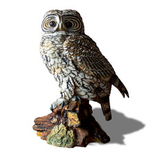 Gufo Statua Porcellana