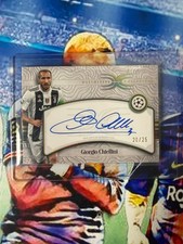 Giorgio Chiellini /25 -