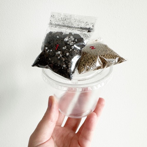 Kit avviamento semi begonia - kit,