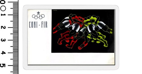 Calamita coni fir sport - calamita,
