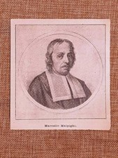 Marcello Malpighi Crevalcore