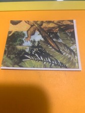 FIGURINA N.131 ANIMALI