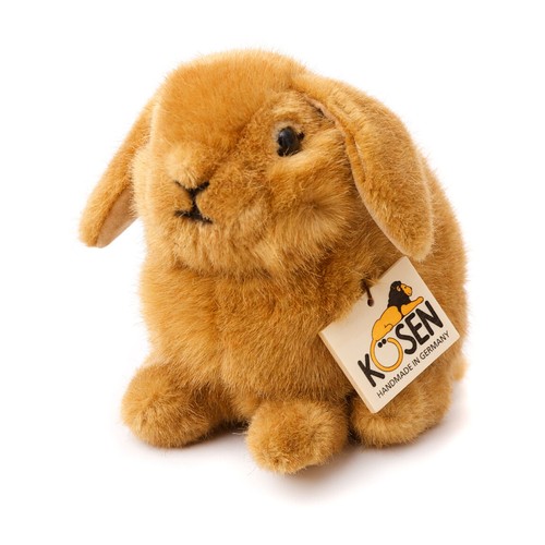 Rabbit young dwarf lop - rabbit,