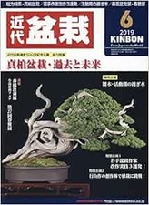 KINBON 2019 June Japanese