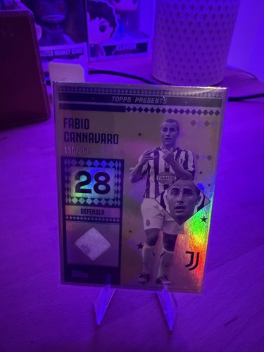 Fabio cannavaro patch match - fabio,