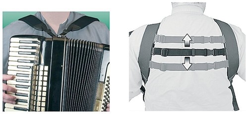 Fisarmonica cinghie per - cinghie,