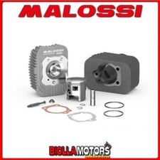 3118735 gruppo termico malossi - 3118735,