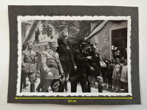 Fascismo mvsn saluto - saluto, romano