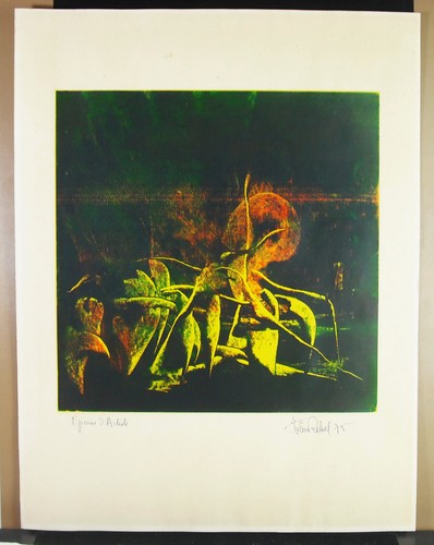 Julien rabal lithographie - (?),