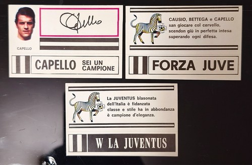 Adesivo fuori raccolta - , 100