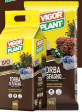 TORBA DI SFAGNO BIO VIGORPLANT