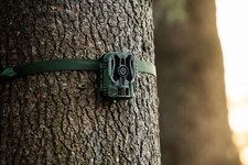 Fototrappola Caccia Animali