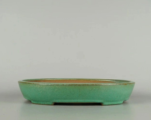 Vaso per bonsai - , giapponese