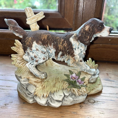Kowa english springer spaniel - kowa,
