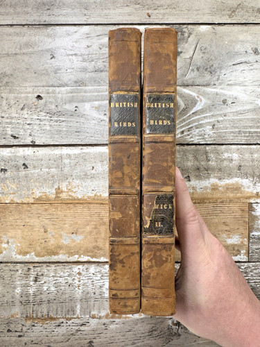 1816 antique bird books - antique, “a
