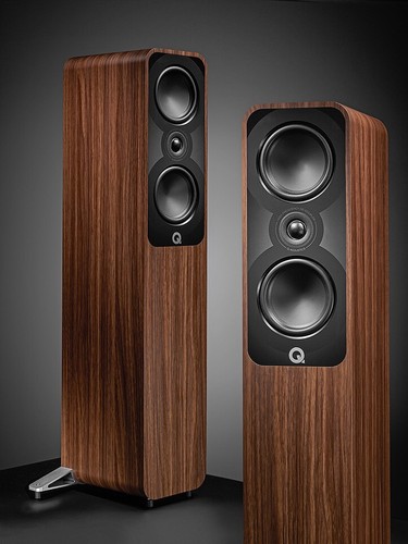 Acoustics 5040 rosewood - q, q
