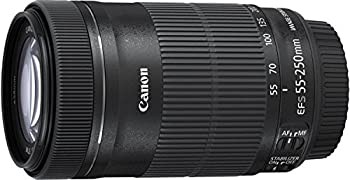 Teleobiettivo zoom canon usato - canon,