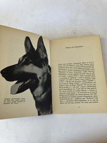 Cane pastore tedesco - da, tedesco/