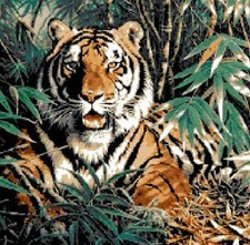 SCHEMA SCHEMI PUNTO CROCE