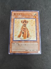 yugioh eccezionale cane